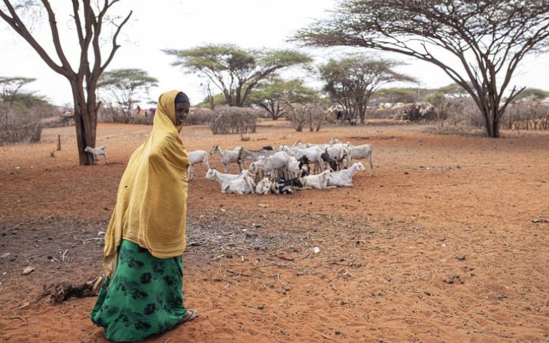 IGAD inspires hope as it releases 2024 annual report
