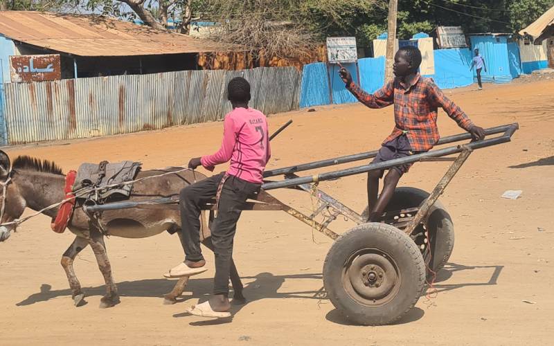 Why elevated discipline and professionalism are desired among South Sudan security forces